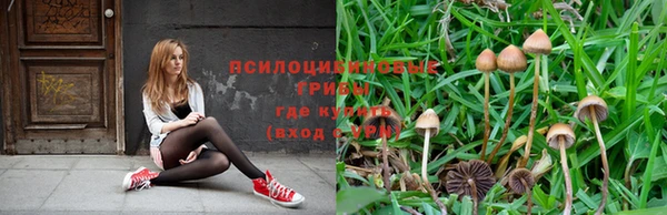 a pvp Алексин