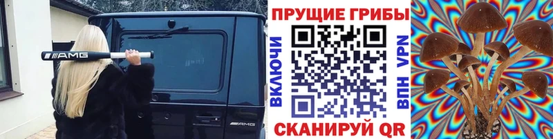 даркнет сайт  Балахна  Псилоцибиновые грибы мухоморы 